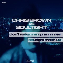 Chris Brown vs. Soultight - Don't Wake Me Up Summer (Soultight Mash-Up) | FREE DOWNLOAD |