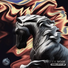 Premiere: STGR - One Night In Paris [RNVA001 ]