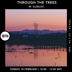 Through The Trees w/ Slowlife
