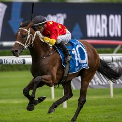 Caulfield Guineas Punting Preview