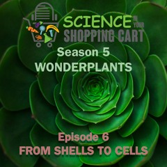 Season 5: WonderPlants | Episode 6: From Shells to Cells