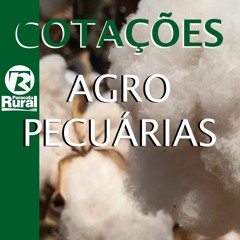 Cotações Agropecuárias 14 A 16 - 08 - 2021