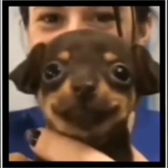 powfu-butterfly rumors