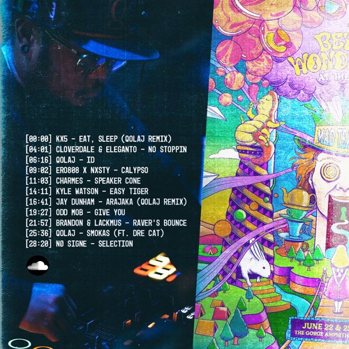 Discovery Project: Beyond Wonderland at The Gorge 2024