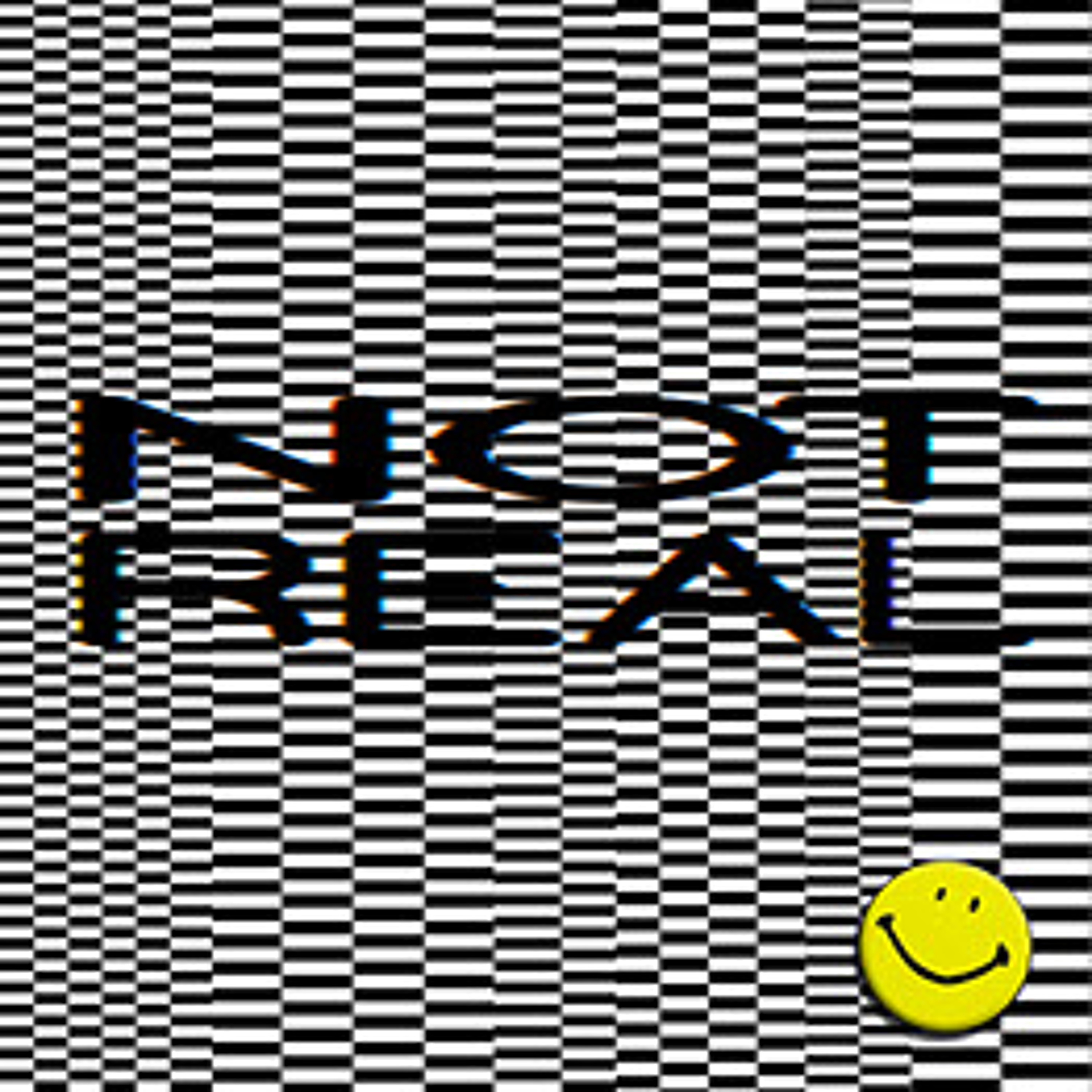 Not Real FM