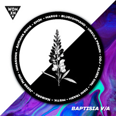 Baptisia V/A