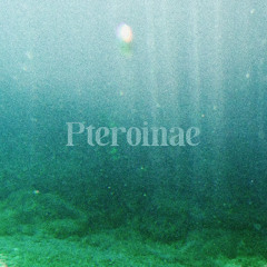 Pteroinae