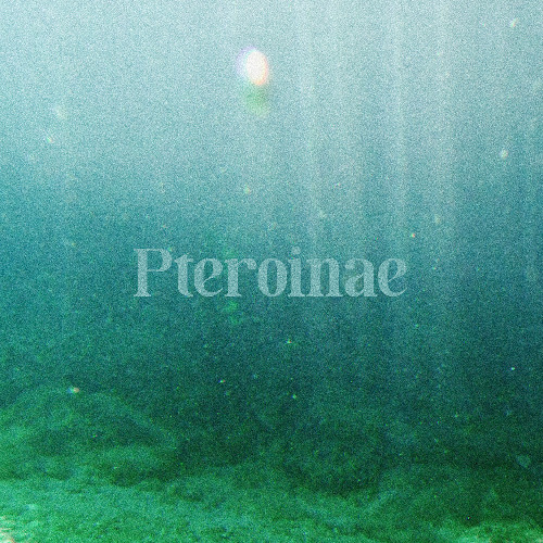 Pteroinae