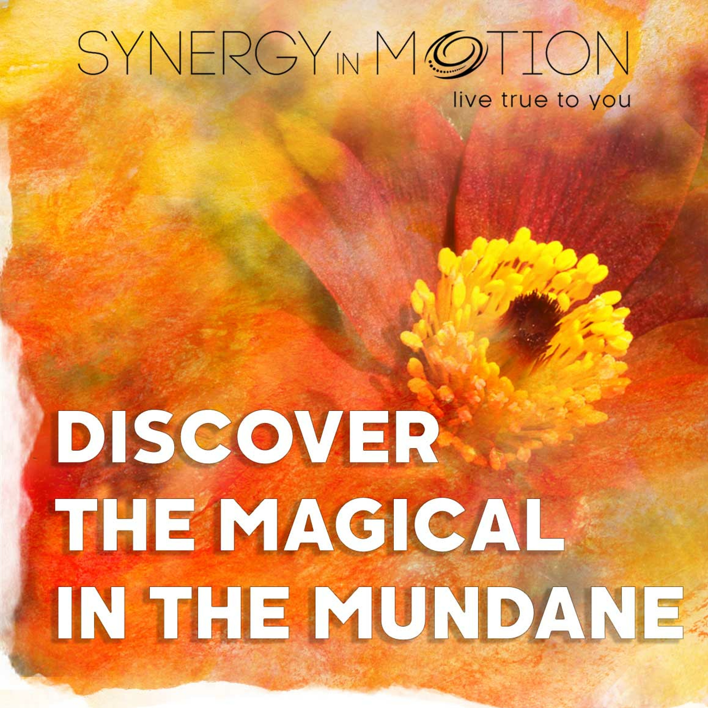 Discover The Magical In The Mundane ~ Hexagram 54 & 61 episode artwork