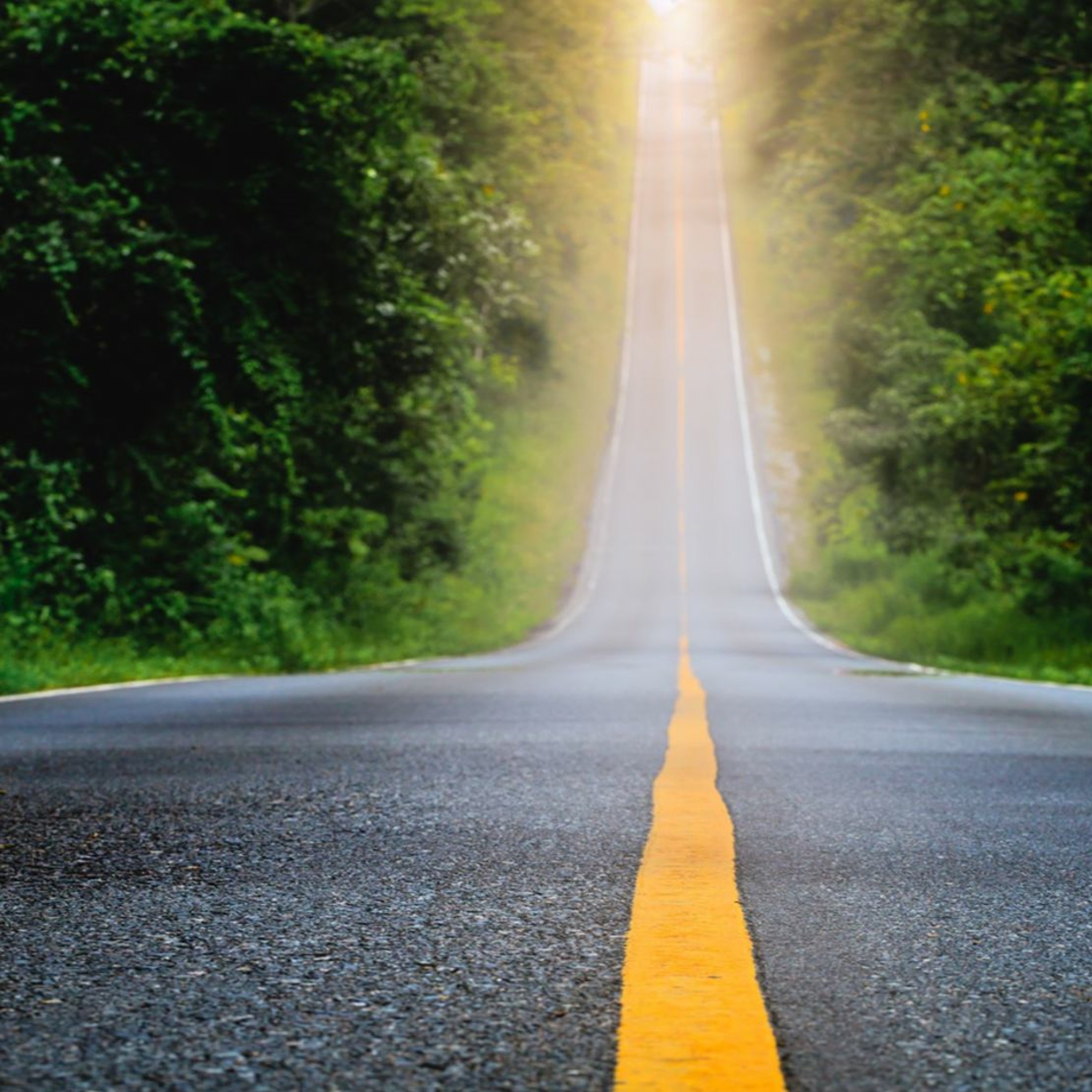 Leadership Transformation Performance