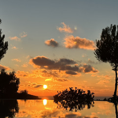 Wish you a Merry Christmas