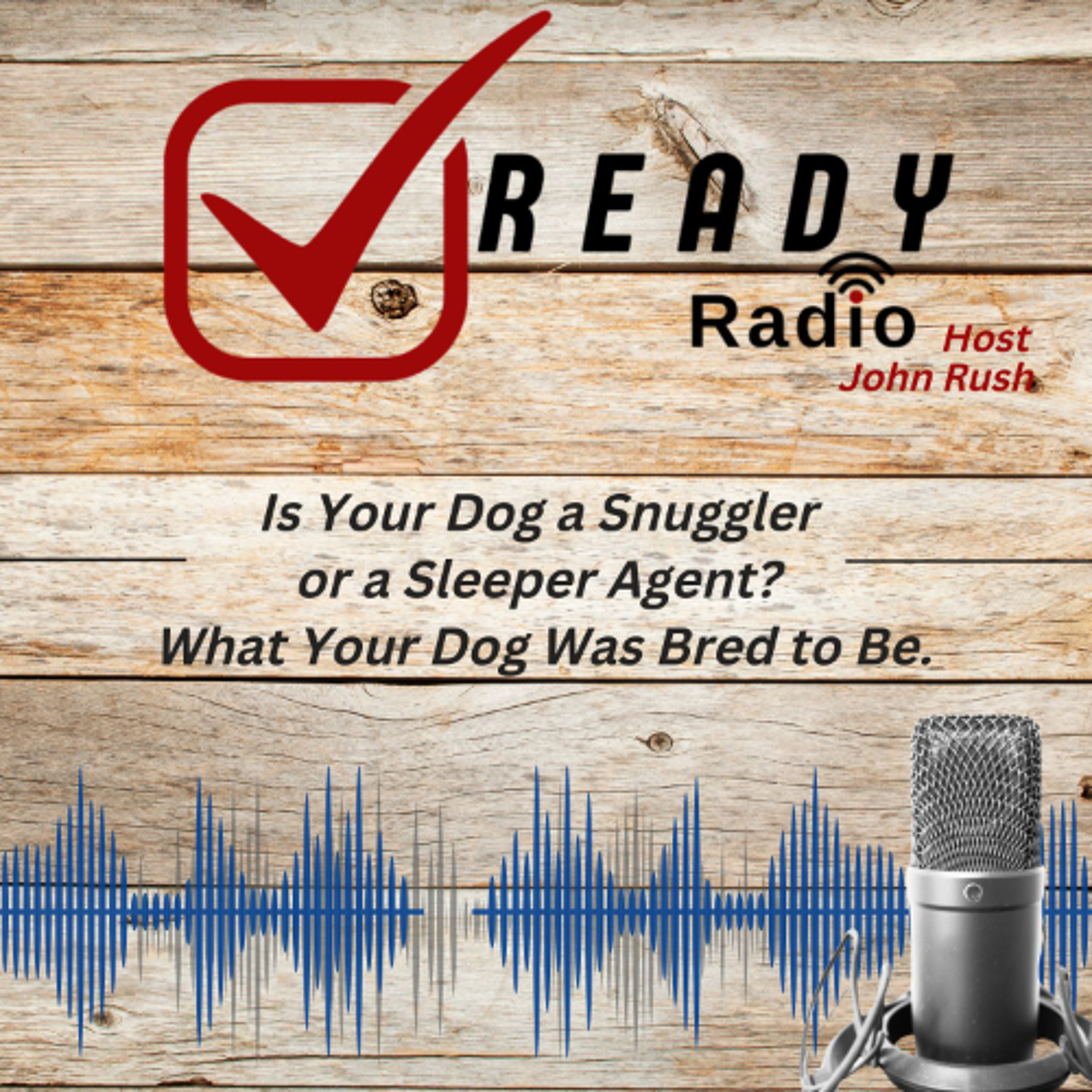 READY RADIO: Is Your Dog a Snuggler or a Sleeper Agent? What Your Dog Was Bred to Be 4-18-25