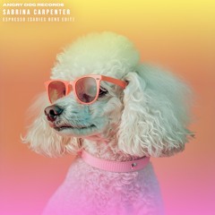 Angry Dog Records Edit