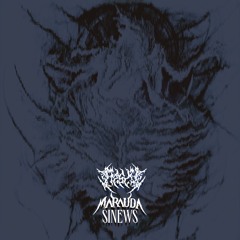 Marauda - Sinews [ATSIV FLIP]