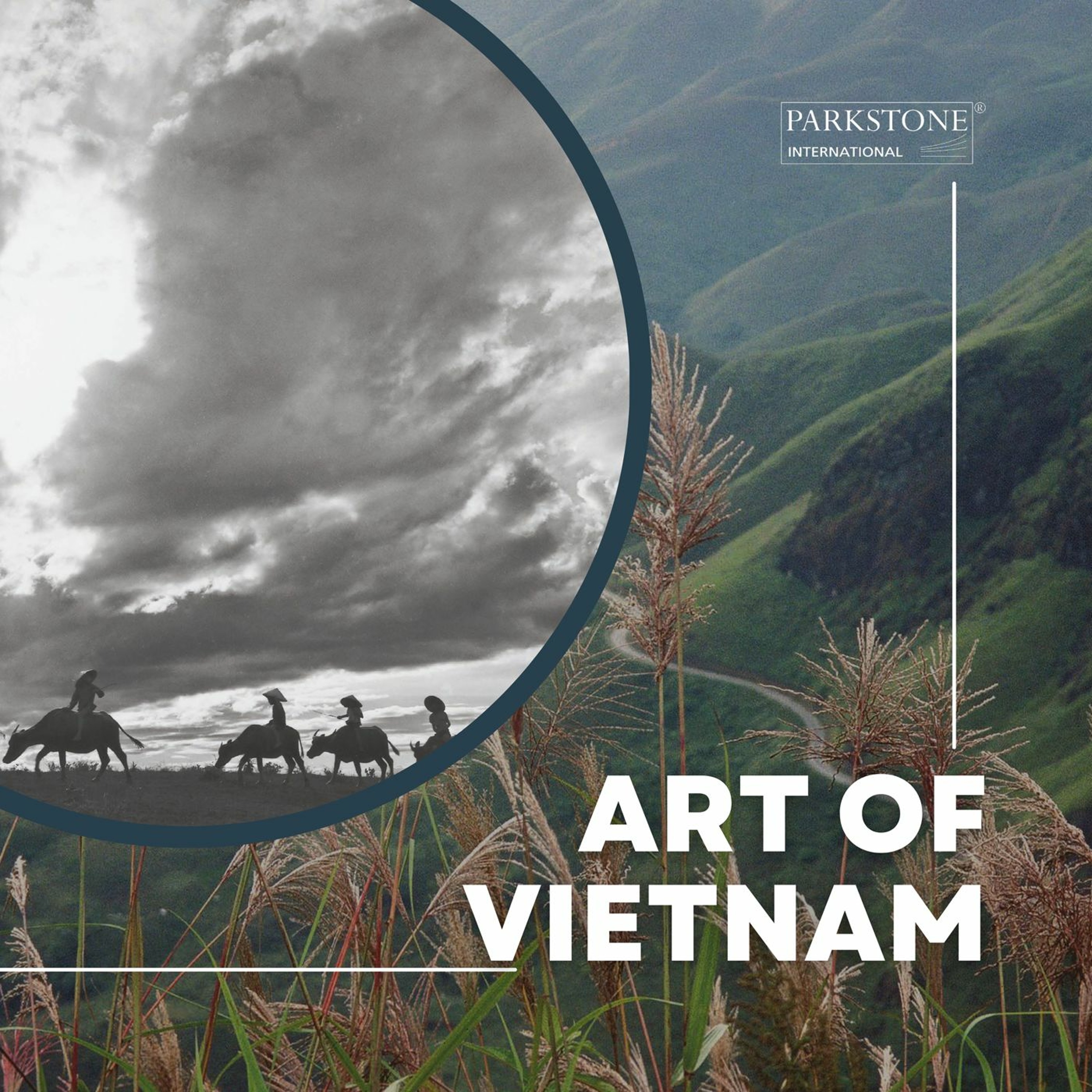 Rice Patty and Forest Civilizations of Vietnam episode artwork