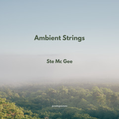Ambient Strings - Ste Mc Gee