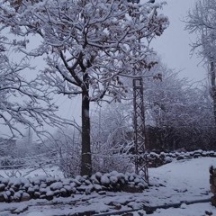 Adat - Atif Aslam (cover)