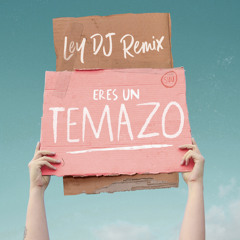 Eres un Temazo (Ley DJ Remix)