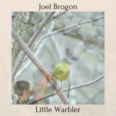 Little Warbler