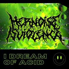 I Dream Of Acid (Original Mix)