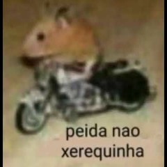 MC Bruna rainha do PLUG. @theripnboy