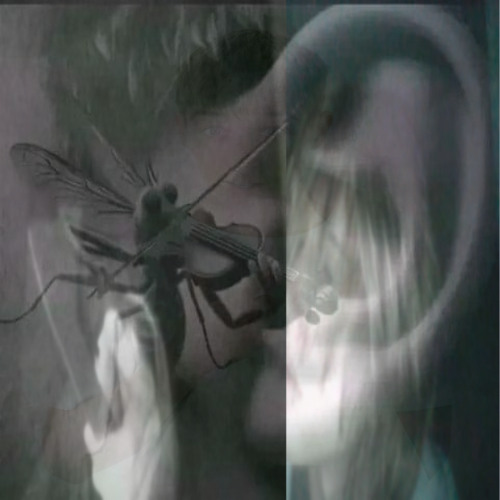 кара (prod. iht4e, bonparrii)