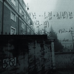 Euler's Method [X]