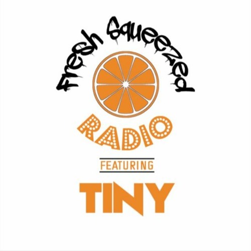 FSR - S3 - E3 - TINY