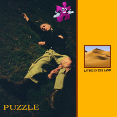 Puzzle - Dice