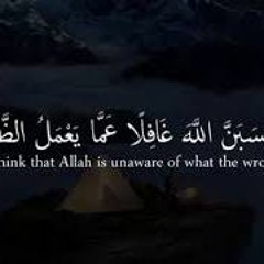 ولا تحسبن الله غافلاََ عما يعمل الظالمون💔 -- شريف مصطفى