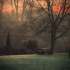 Snake & the Prairie dogs - Cavetown - Slowed/Reverb