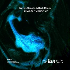03.Never Alone In A Dark Room - Drunk 808 [IUN005 - TENZING NORGAY  EP]