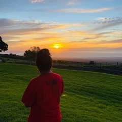 Dj DHippy - FoldedSean Rii x Thizz KiddTry Remix 2025