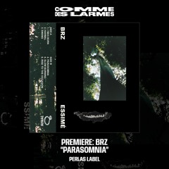 PREMIERE CDL || Brz - Parasomnia [Perlas Label] (2024)