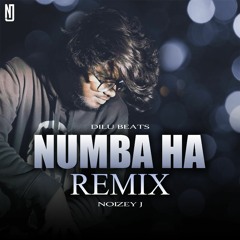 Numba Ha Remix | DILU Beats | NOIZEY J