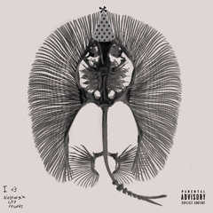 kvton - ground <prod hidden lotus + omgcollin>