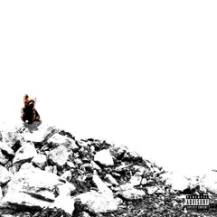 CLEEK - I GOT WHATEVER