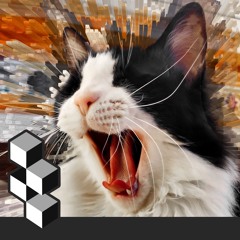 ANOMALY #2