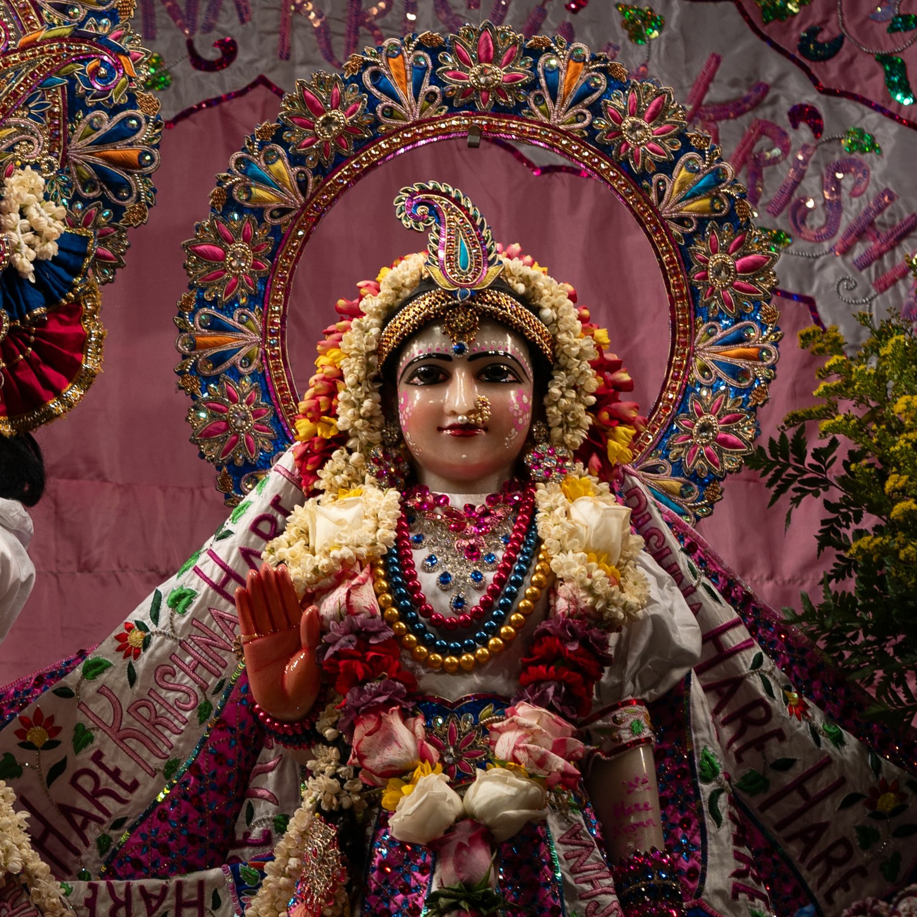 Akincana Krishna Prabhu - Kirtan 50 Day 3 - 12.31.23 episode artwork