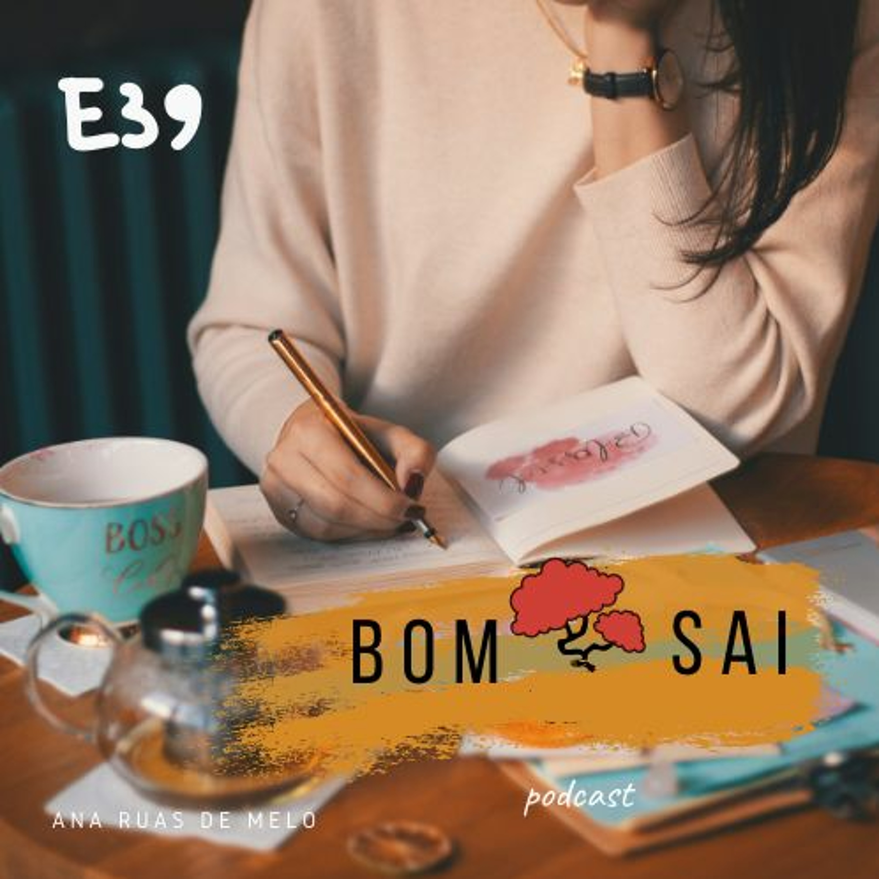 Episódio 39 - 10 erros que impedem o emagrecimento episode artwork