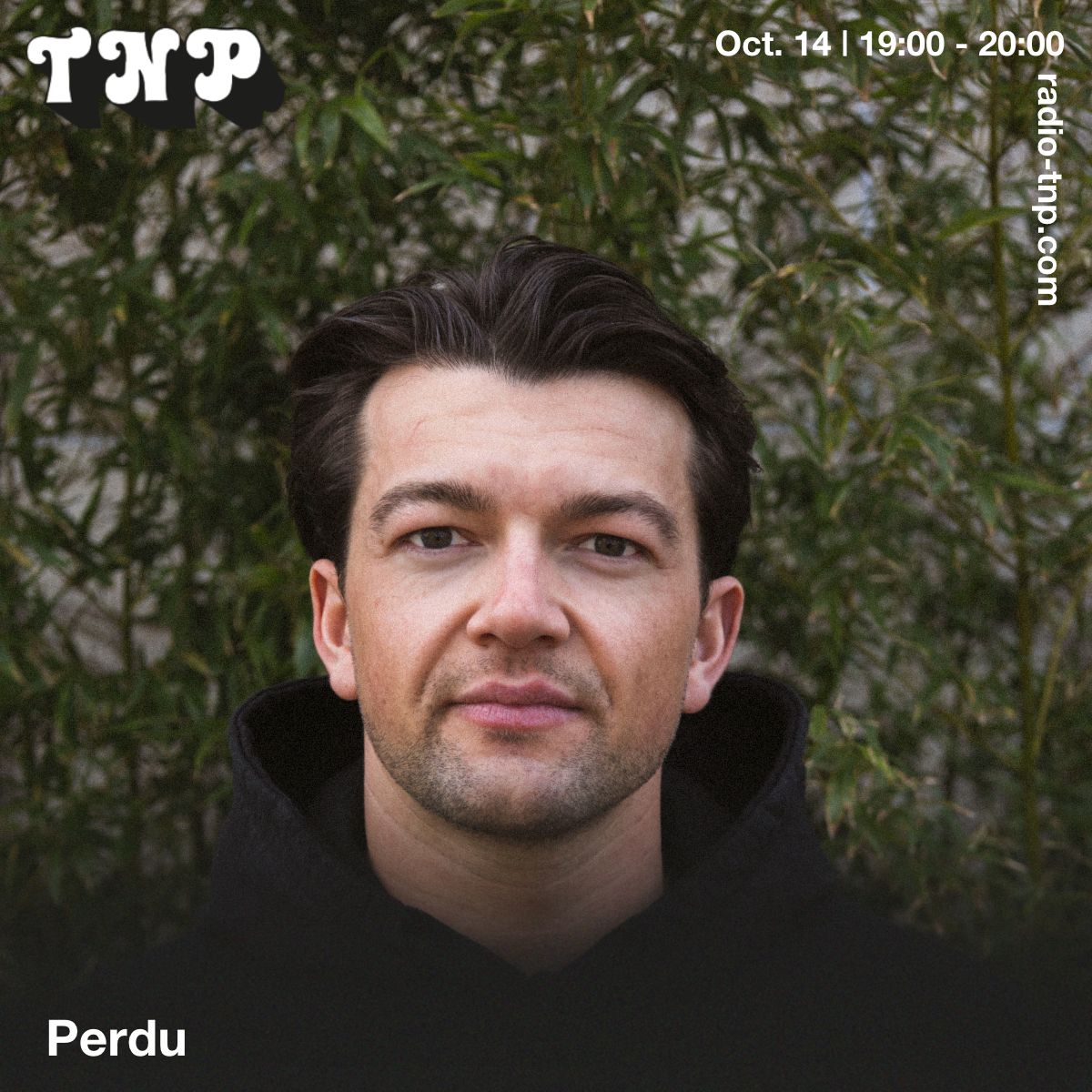 Perdu