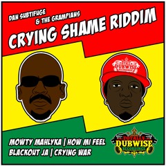 Crying Shame Riddim Mini Mix feat Mowty Mahlyka & Blackout Ja