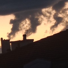 Dans Les Forêts Topicantes