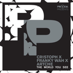 Cristoph & Franky Wha & ArtcheThe - World You See (Thian D-Lux Techno Version 2025)