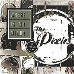 Pixies - Where Is My Mind