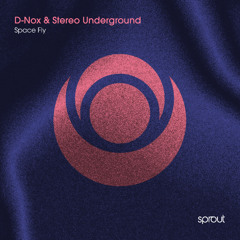 PREMIERE | D-Nox & Stereo Underground - Space Fly [Sprout]
