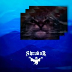 КИТ ТЫ МАМУ МАВ?