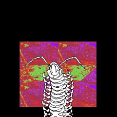 40. CENTIPEDE