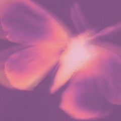 in my head // snow strippers slowed