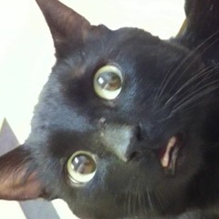 deadmau5 vs. TWR72 - Sometimes Things Get, Mouth (Bananas Mashup)